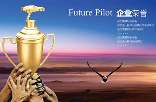 热烈祝贺我司在行业取得的各项荣誉资质证书！